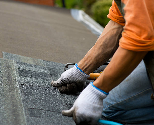 Professional Roofing Contractor in Lathrop, MO