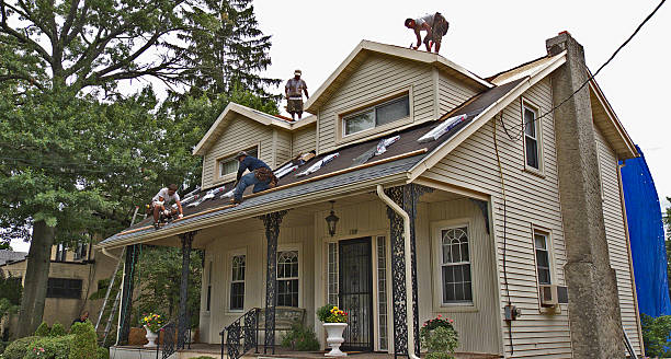 Best Flat Roof Repair Services  in Lathrop, MO